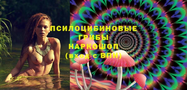 спайс Баксан