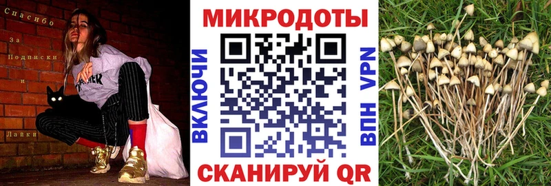 Галлюциногенные грибы Magic Shrooms купить цена Северо-Курильск